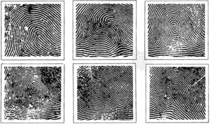 How Long Do Fingerprints Stay On Crime Site?