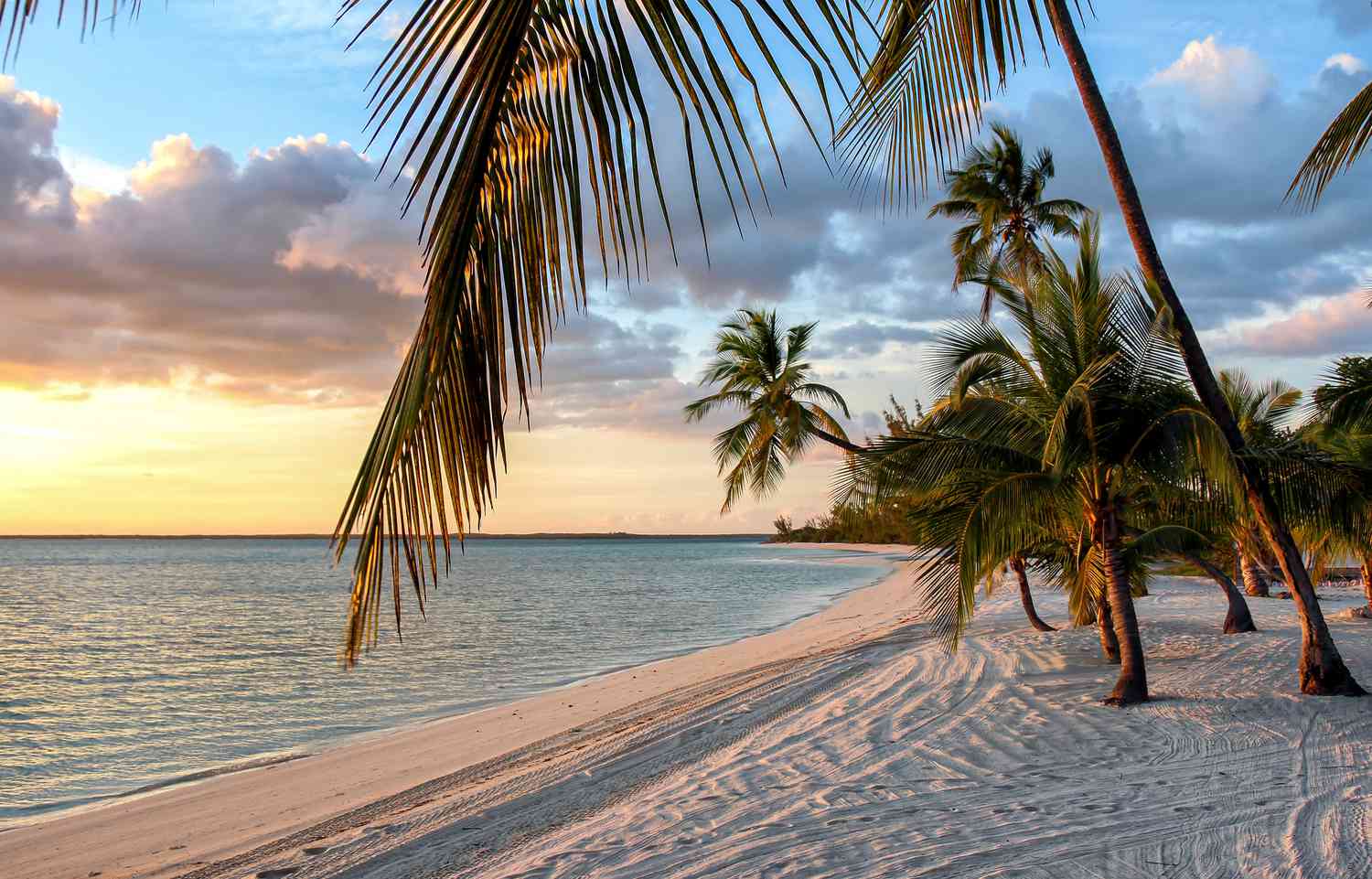 Discover Paradise: 7 Compelling Reasons to Visit the Bahamas Right Now