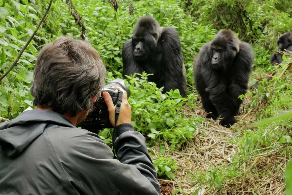 The 10 Best Spots for Photographic Safaris in Uganda
