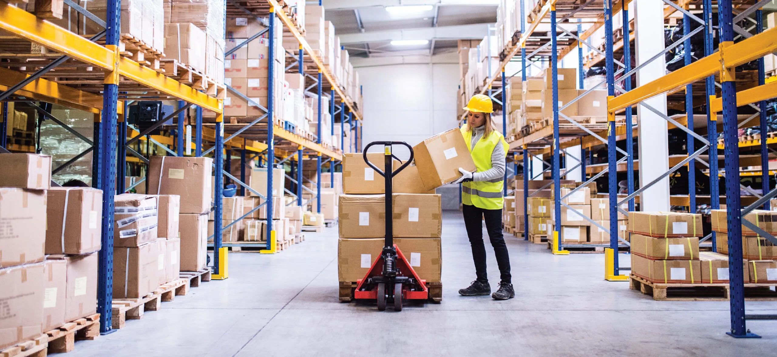 Wholesale Suppliers vs. Dropshipping Suppliers: Which is Better for Resellers?